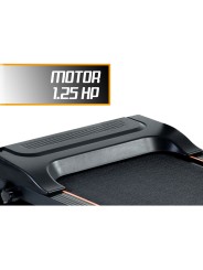 Caminadora profesional MKZ-CAMI3521 plegable