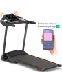 Caminadora profesional MKZ-CAMI3521 plegable
