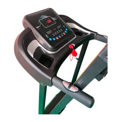 Caminadora profesional MKZ-CAMI3521 plegable