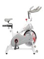 Bicicleta de ciclismo interior por correa Mod.SF-B1876