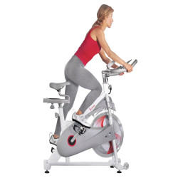 Bicicleta de ciclismo interior por correa Mod.SF-B1876